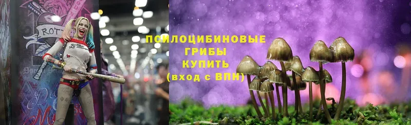 маркетплейс как зайти  Катайск  Галлюциногенные грибы Magic Shrooms 